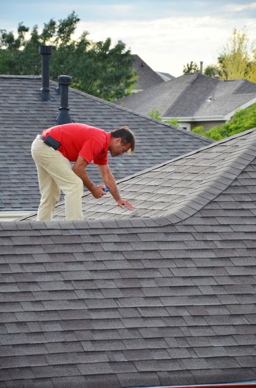 Consultants and Inspectors